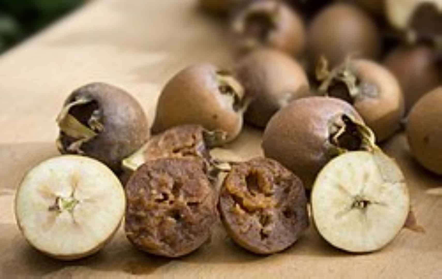 2020-02-03-naspolya Kései vitaminbomba